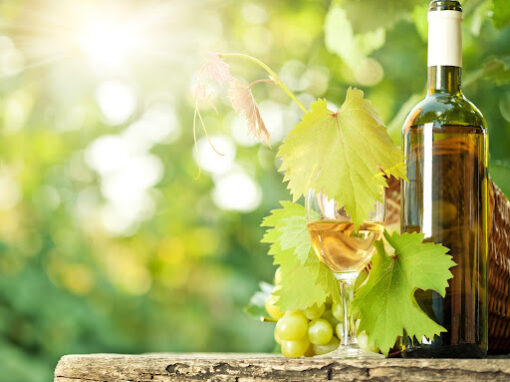 Vermentino di Sardegna: Geschichte und Kurioses