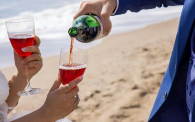 Sprüche für eine gute Flasche Wein als ein besonderes Geschenk