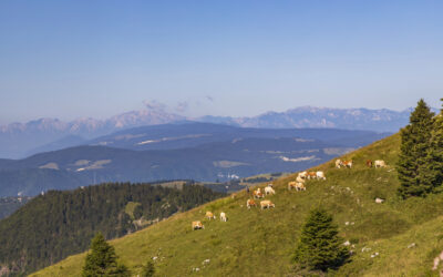 Wie hoch ist der Monte Grappa?