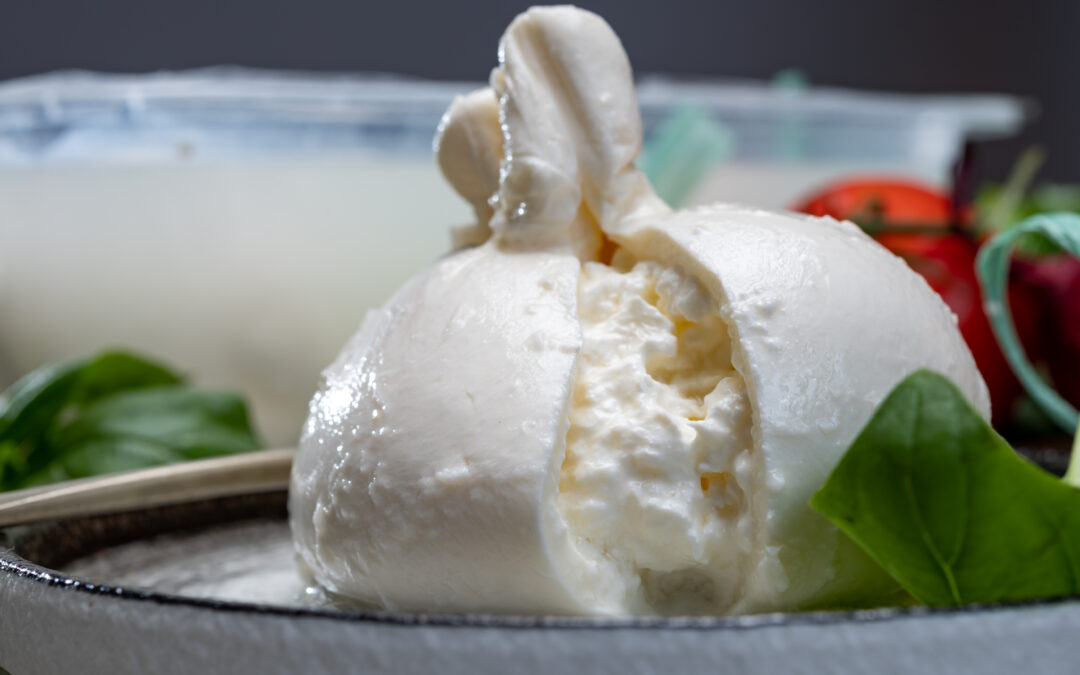 Nahaufnahme einer Burrata: weicher, cremiger Käse mit einer glänzenden, zarten Außenschicht, die die cremige Füllung umschließt.